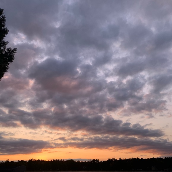 Meet your Posher, Ava - Picture 1 of 1